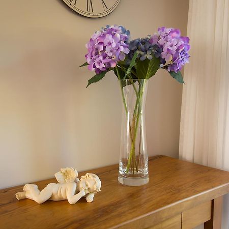 Rolling Hills Country Stay B&B ตาอูรังกา ภายนอก รูปภาพ