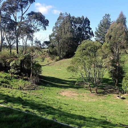 Rolling Hills Country Stay B&B ตาอูรังกา ภายนอก รูปภาพ