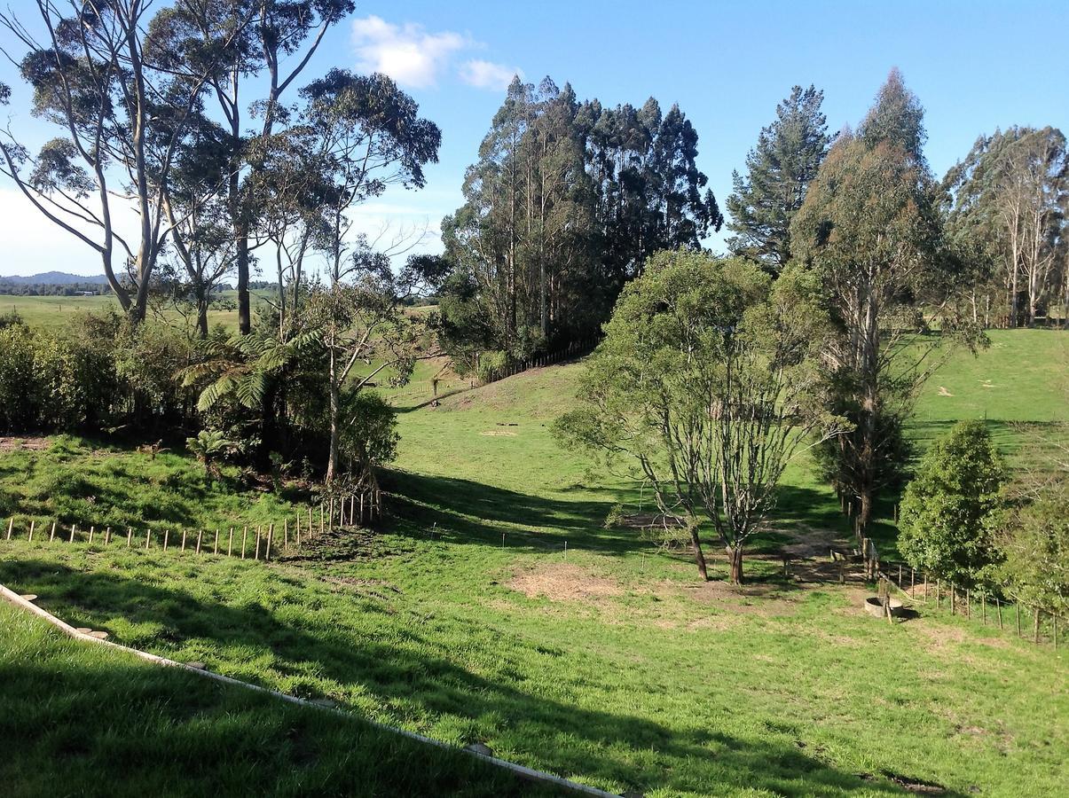 Rolling Hills Country Stay B&B ตาอูรังกา ภายนอก รูปภาพ