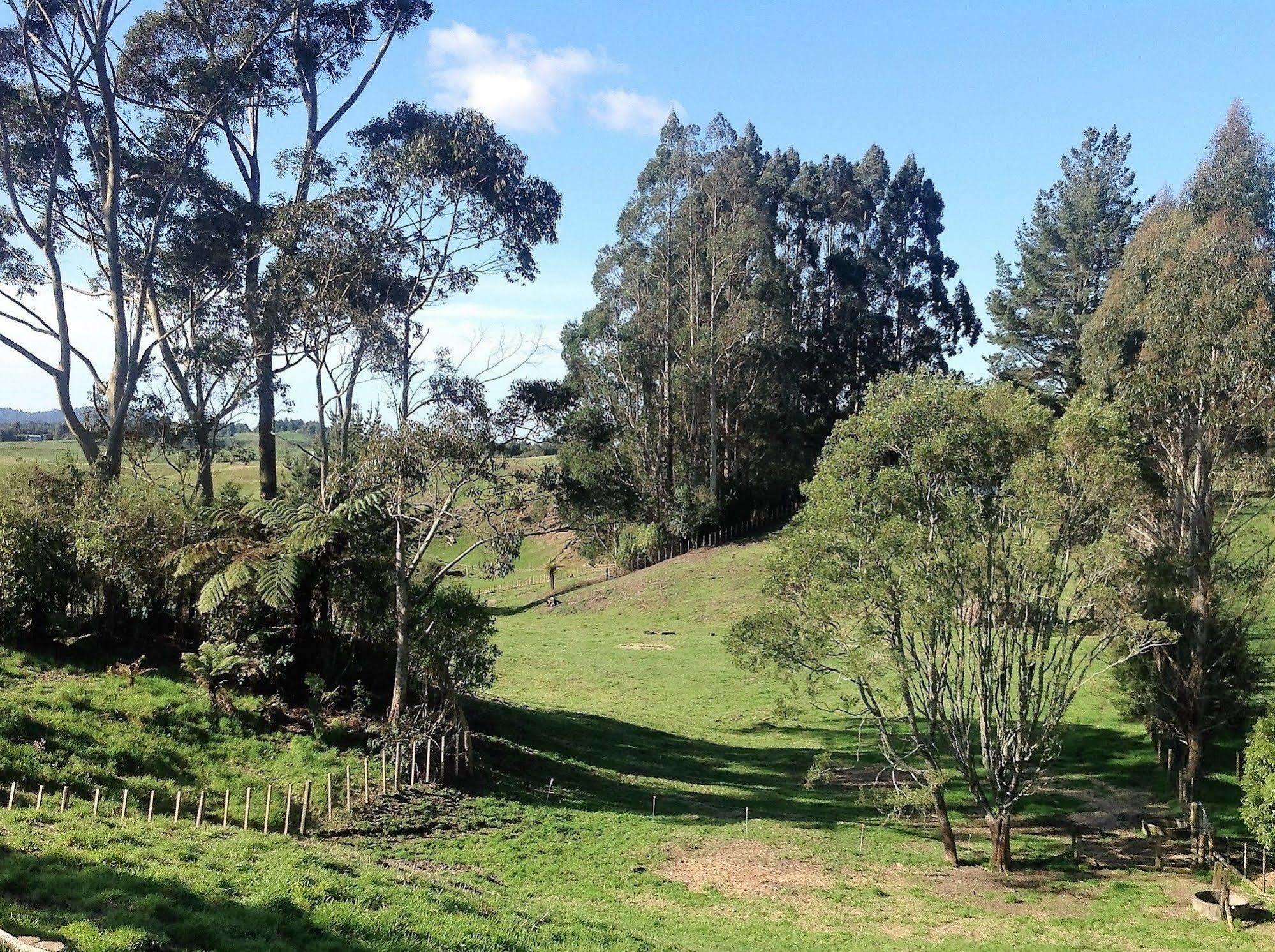 Rolling Hills Country Stay B&B ตาอูรังกา ภายนอก รูปภาพ
