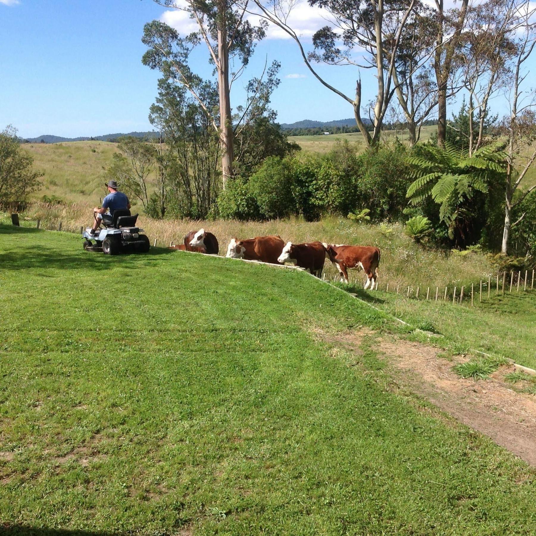 Rolling Hills Country Stay B&B ตาอูรังกา ภายนอก รูปภาพ